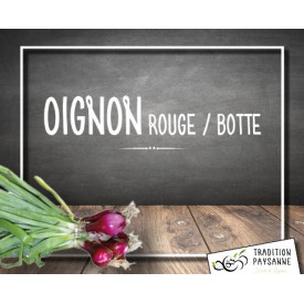 Oignon botte rouge