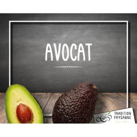 Avocat gros (l'unité)