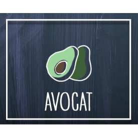 Avocat gros (2 pièces)