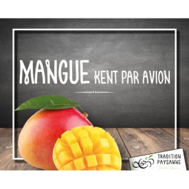 Mangue (l'unité)
