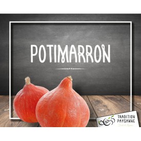 Potimarron (unité)