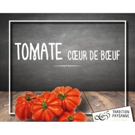 Tomate Cœur de Bœuf (500g)