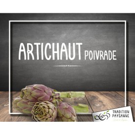 Artichaut poivrade (l'unité)