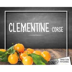 Clémentine Corse (500g)