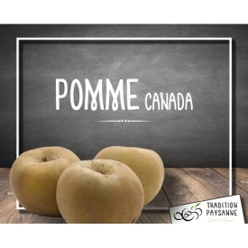 Pomme Canada (500g)