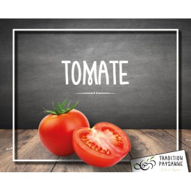 Tomate ronde grappe (500g)