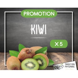 Gros Kiwi vert (5 pièces)