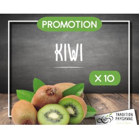 Promo Kiwi vert (10 pièces)