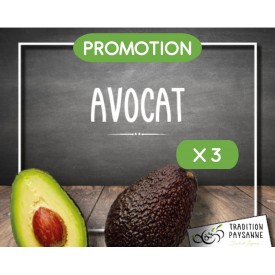 Promo Avocat (3 pièces)