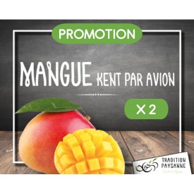 Promo Mangue (2 pièces)