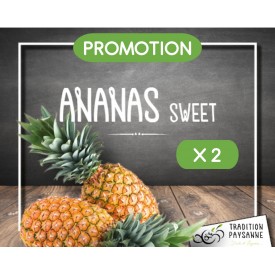 Promo Ananas (2 pièces)