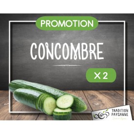 Promo Concombre (2 pièces)
