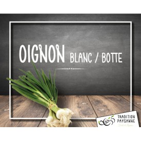 Oignon Blanc LOCAL (botte)