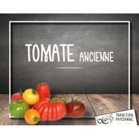 Tomate ancienne (500g)
