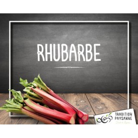 Rhubarbe (botte 800g)