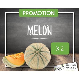 Melon de Camargue (2 pièces)