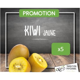 Kiwi Jaune (4 pièces)