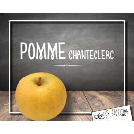 Pomme Chanteclerc (promo 2KG)