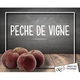 Pêche de vigne (500g)