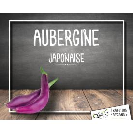 Aubergine japonaise (500g)