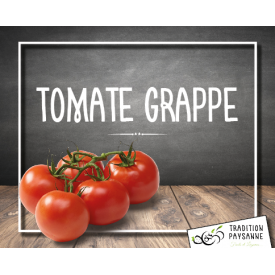 Tomate grappe de Provence...