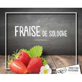 Fraise de Sologne...