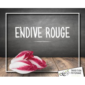 Endive rouge (500 gr)