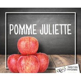 Pomme Juliette Bio (500g)