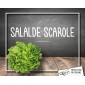 Salade scarole