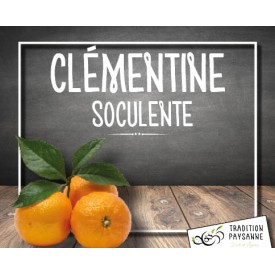 Clémentine SOCULENTE (500g)