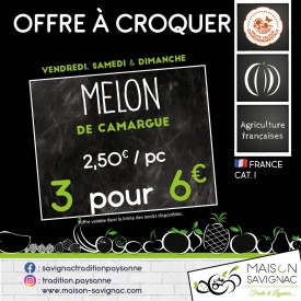 PROMO Melon (3 pièce)