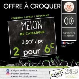 PROMO Melon (la pièce)