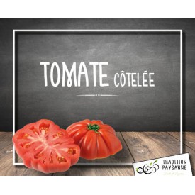 Tomate côtelée (500g)