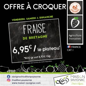 Fraise (800 gr)