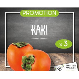 Kaki (3 pièces)