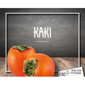 Kaki (unité)