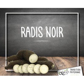 Radis noir (500g)