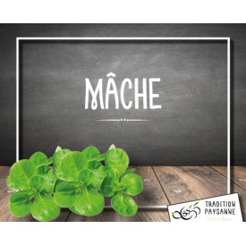 Mâche (500 g)