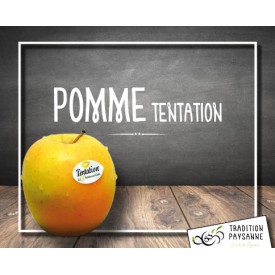 copy of Pomme Tentation (2 kg)