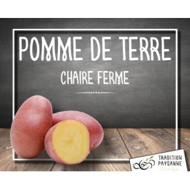 Pomme de terre chaire ferme...