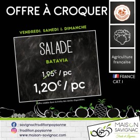 Salade Batavia (l'unité)