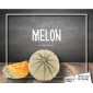 Melon (l'unité)