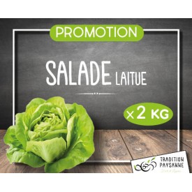 Salade laitue (x 2)