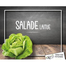 Salade laitue (unité)