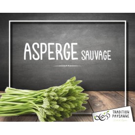 Asperge sauvage (2 bottes...