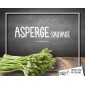 Asperge sauvage (2 bottes...
